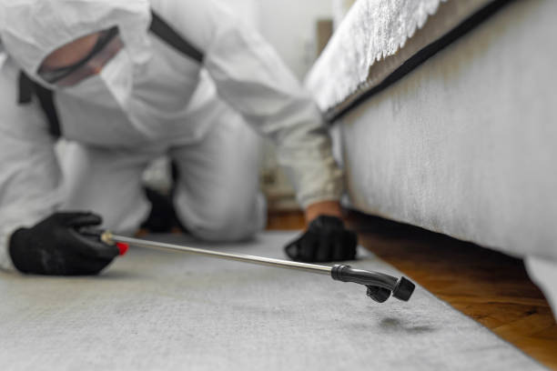 Professional Bed Bug Control technician working in Otis Orchards-East Farms, WA